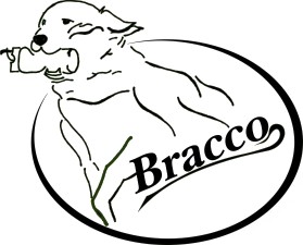 BRACCO